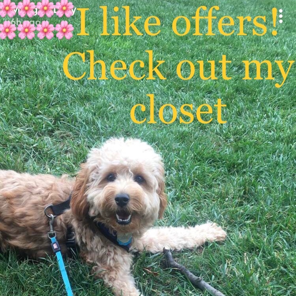 Make an offer!